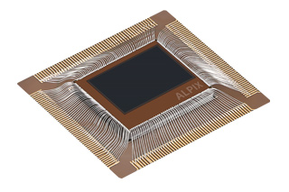 1756196161111069.jpg 2.jpg