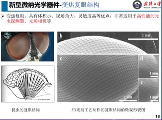 图片85.png