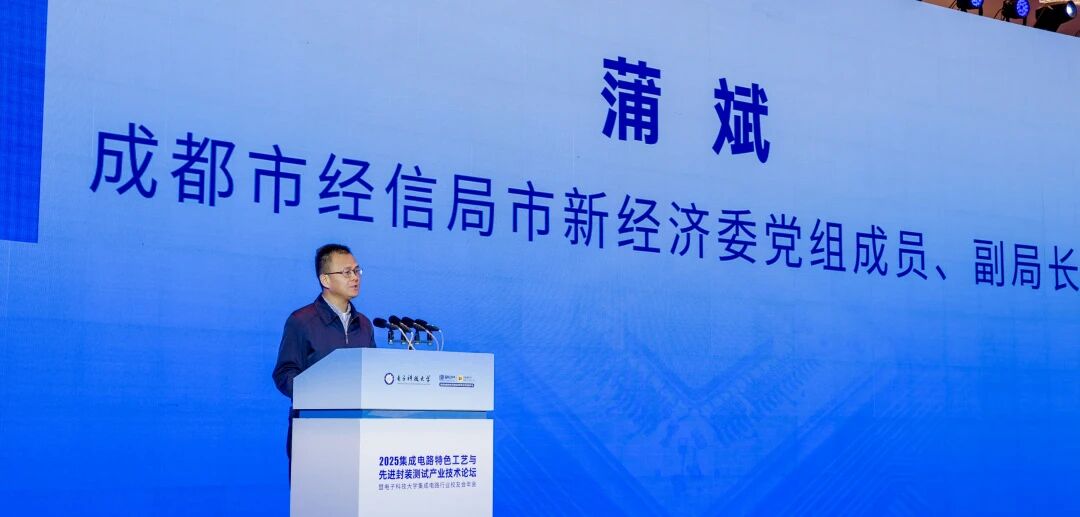 1764583874672034.jpg 7.jpg